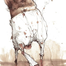 Centaur illustration