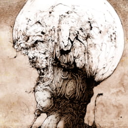 Domesticated Mushroom Pen and Ink Illustration